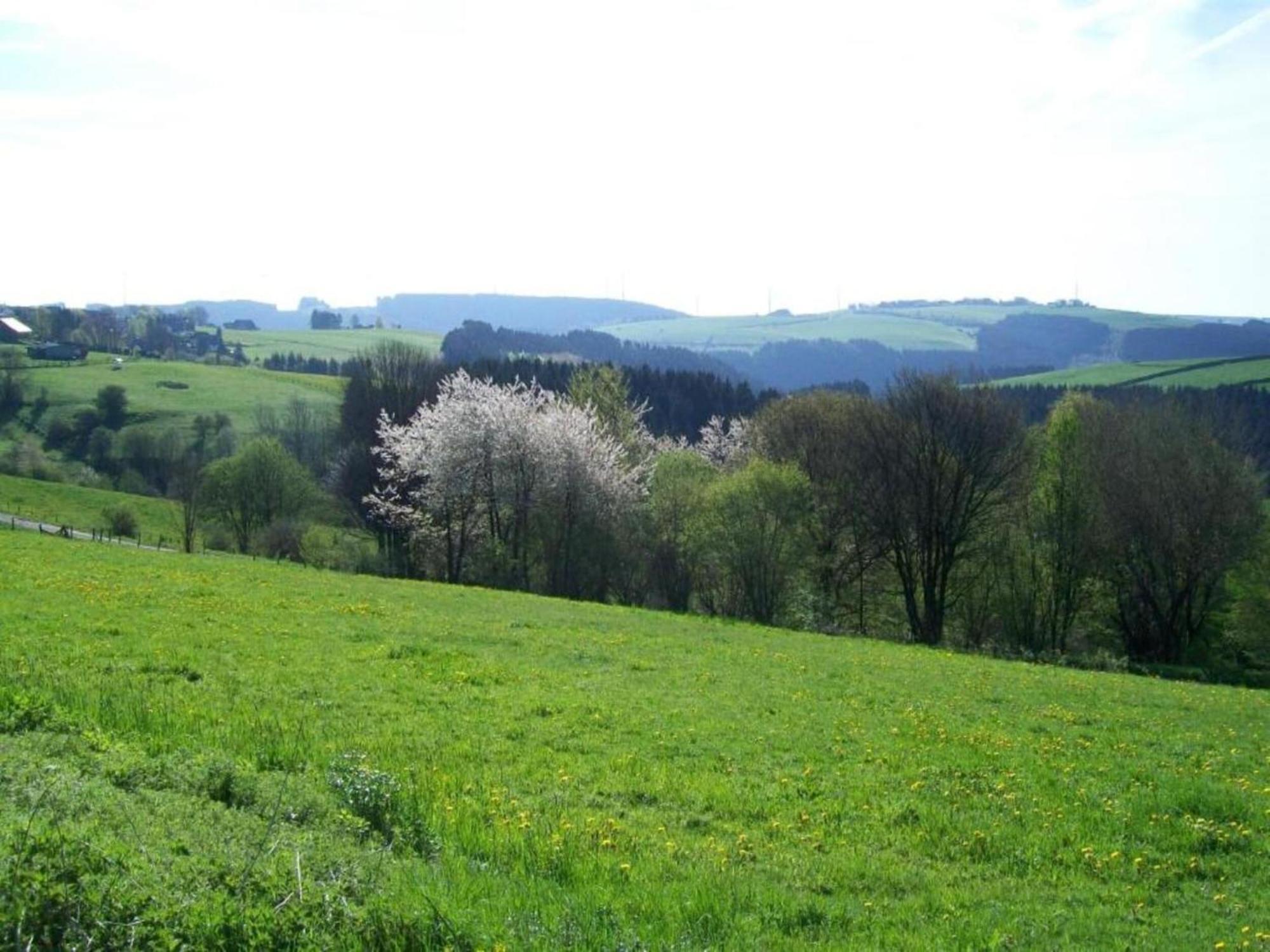 Holiday Home With Garden In Hellenthal Eifel Buitenkant foto